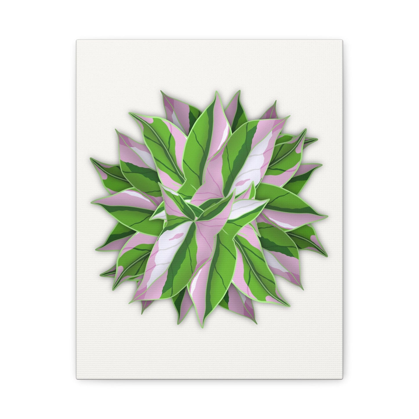 Syngonium Tricolor Pattern Canvas Print – Botanical Wall Art
