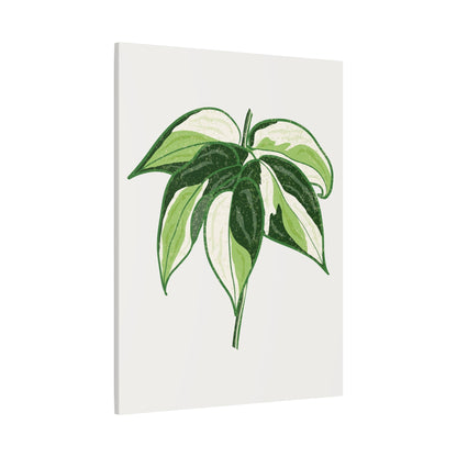 Philodendron Cream Splash Canvas Print – Botanical Wall Art