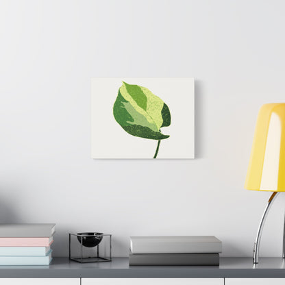 Manjula Pothos Illustrated Canvas Print – Botanical Wall Art