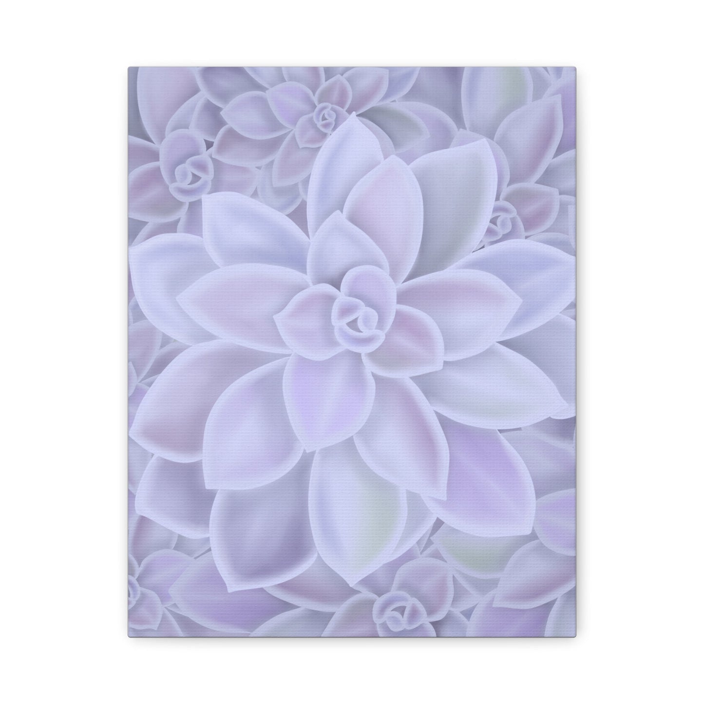 Graptopetalum Murasaki Succulent Pattern Canvas Print – Botanical Wall Art
