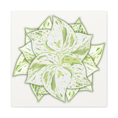 Snow Queen Pothos Canvas Print – Botanical Wall Art