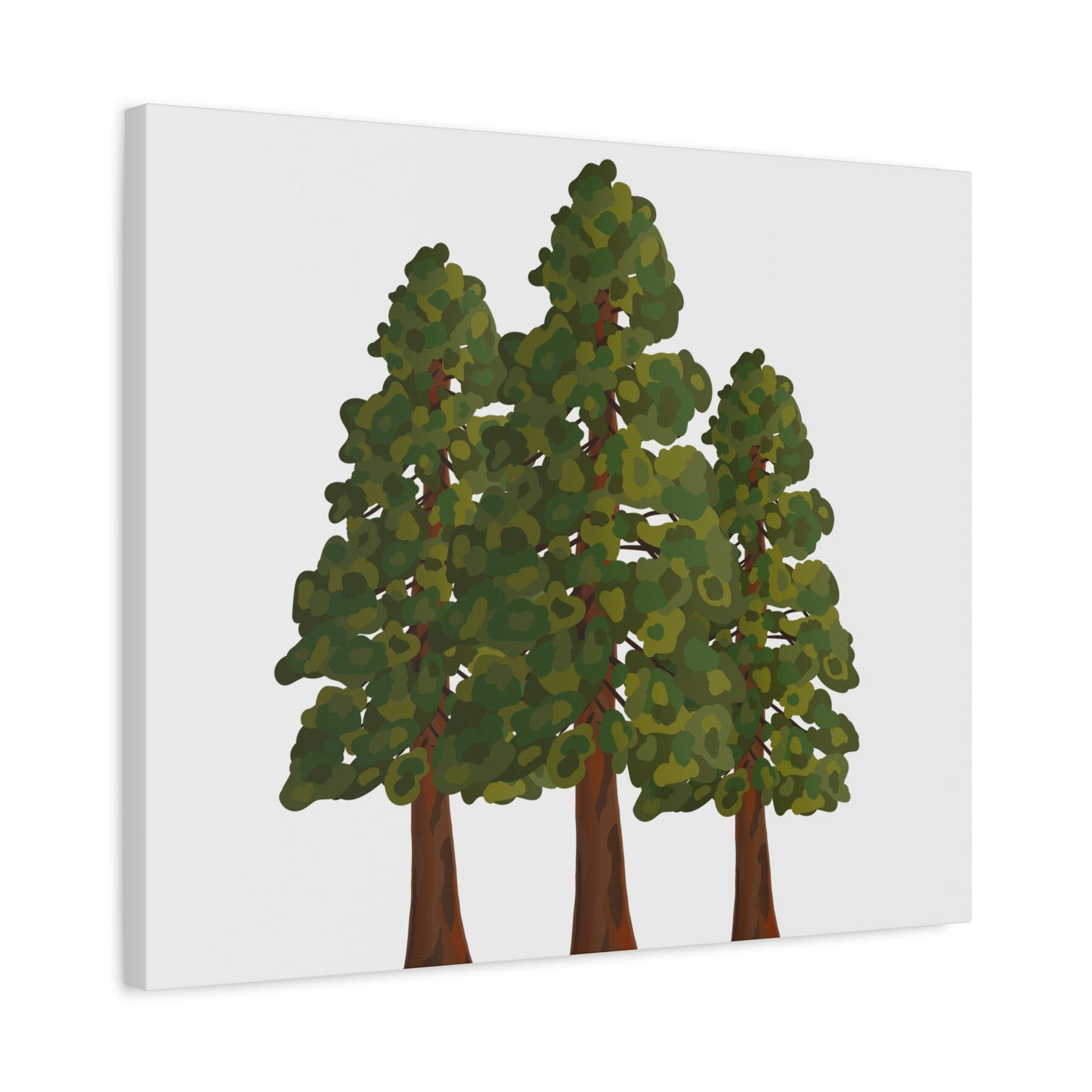 Coastal Redwood Canvas Print – Wall Art