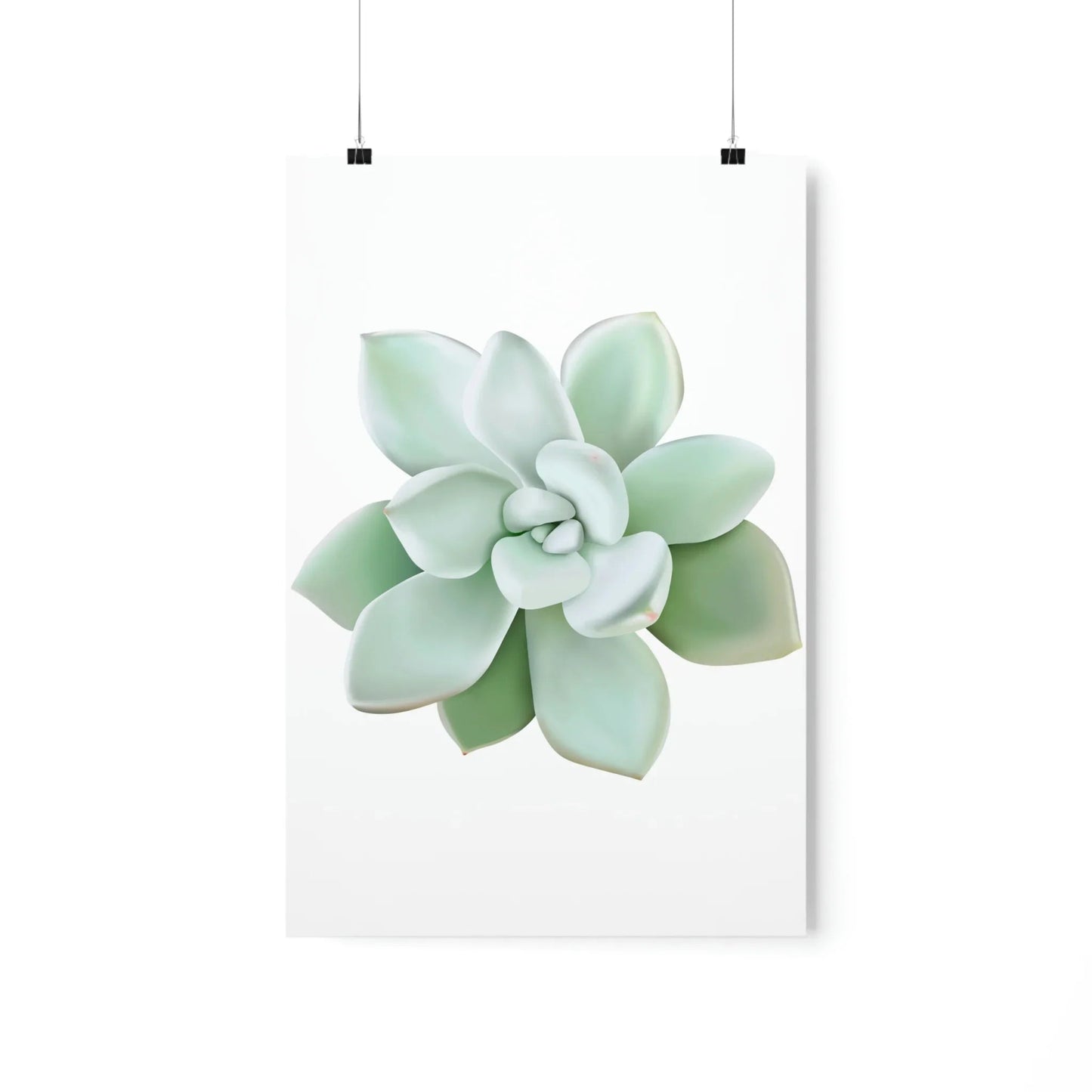 Pachyveria Haagei Succulent Botanical Print – Unframed Wall Art
