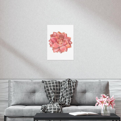 Graptosedum California Sunset Succulent Botanical Print – Unframed Wall Art
