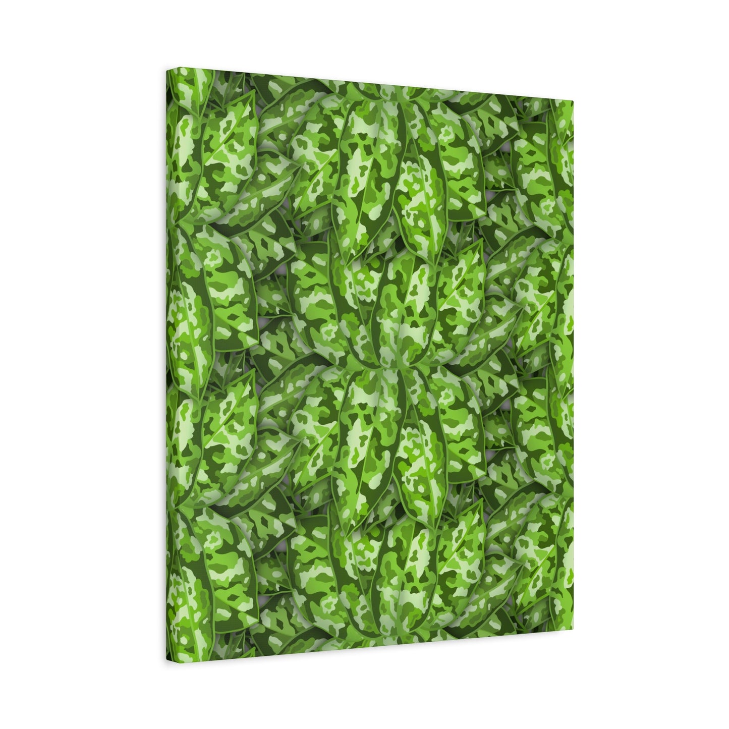 Aglaonema Pictum Canvas Print – Botanical Wall Art