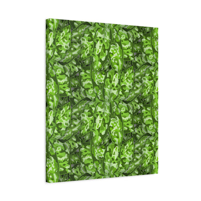 Aglaonema Pictum Canvas Print – Botanical Wall Art