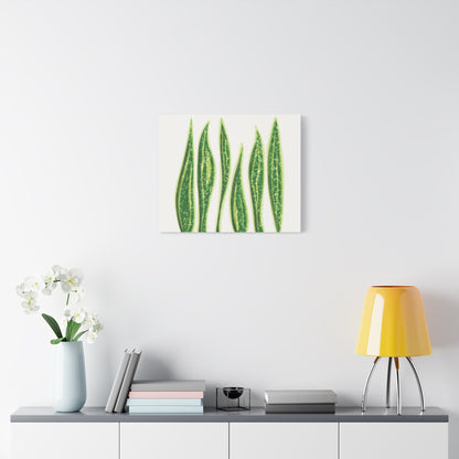 Snake Plant Canvas Print – Botanical Wall Art