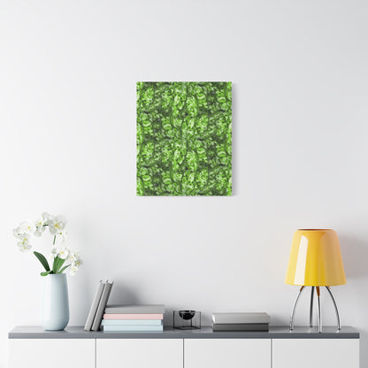 Aglaonema Pictum Canvas Print – Botanical Wall Art