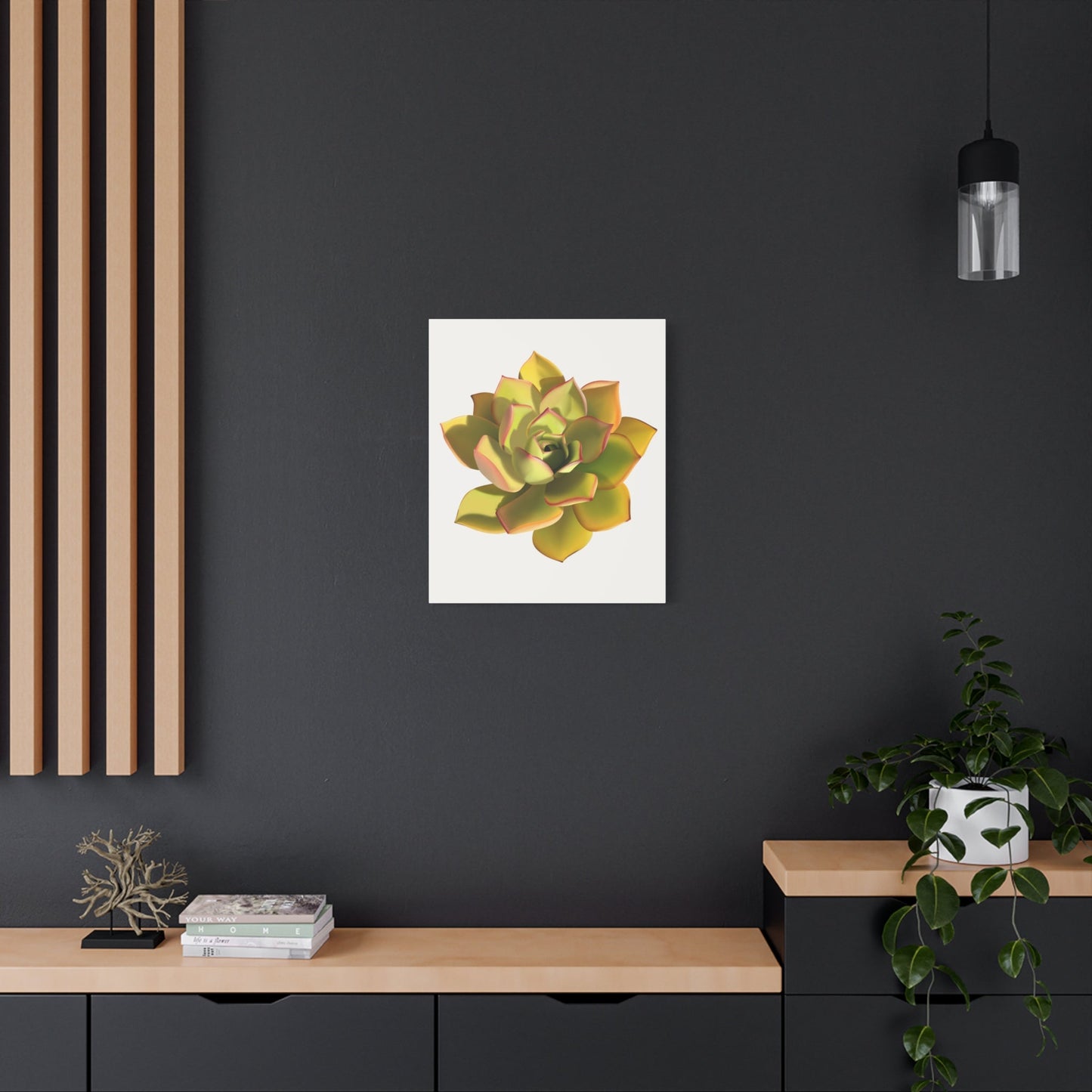 Noble Aeonium Succulent Canvas Print – Botanical Wall Art