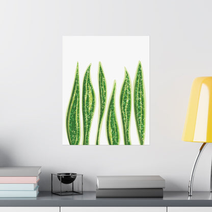 Snake Plant Botanical Print – Unframed Wall Art
