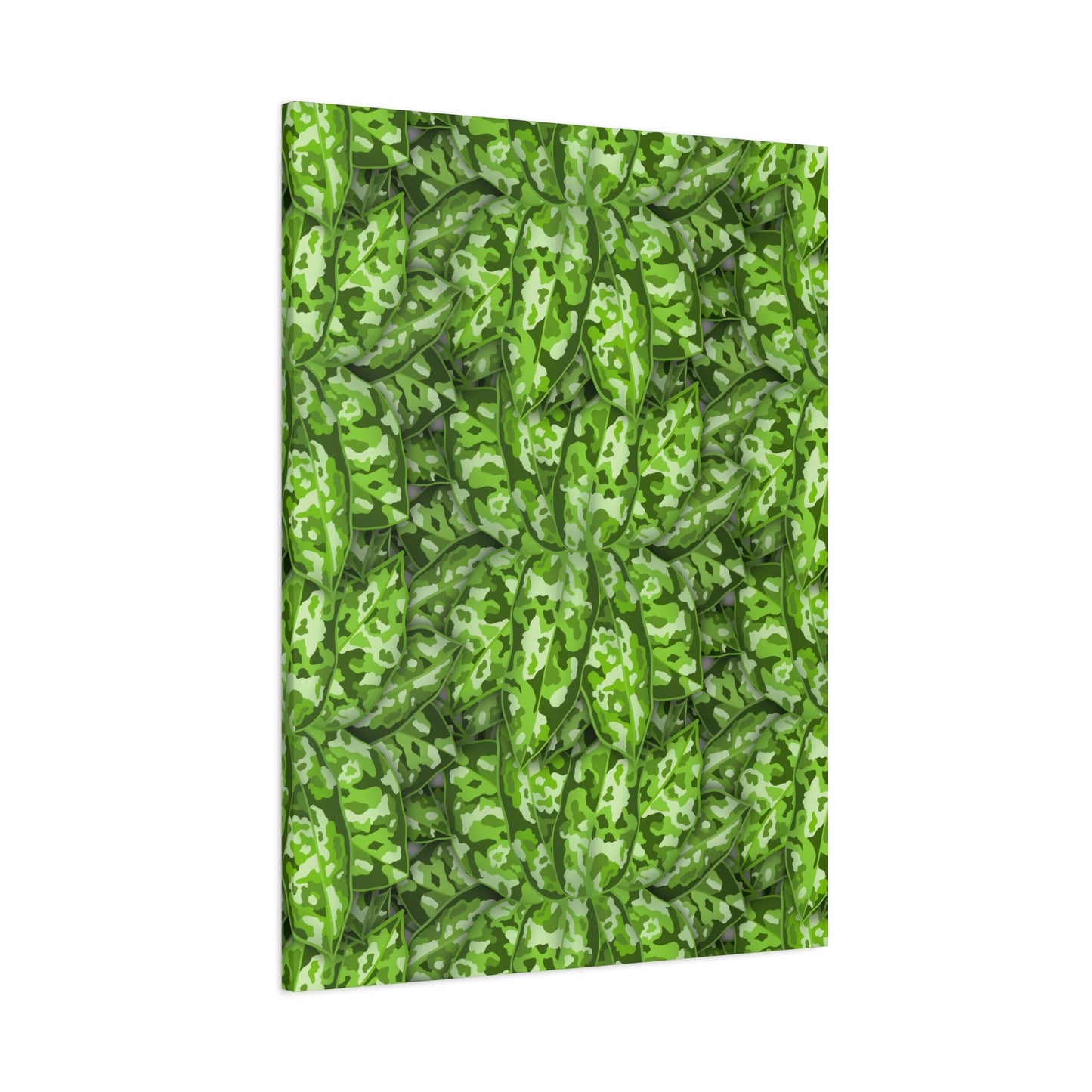 Aglaonema Pictum Canvas Print – Botanical Wall Art