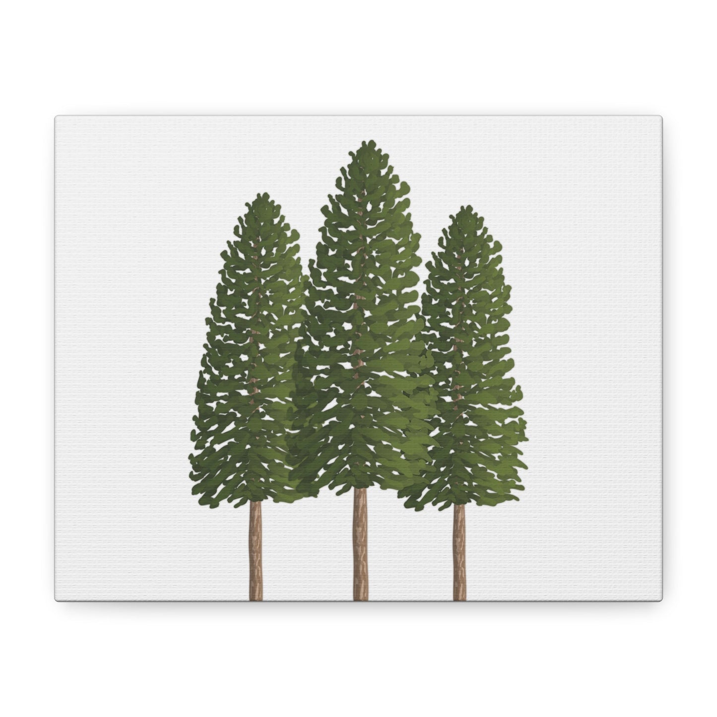Ponderosa Pine Canvas Print – Wall Art