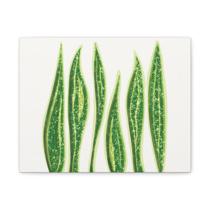 Snake Plant Canvas Print – Botanical Wall Art