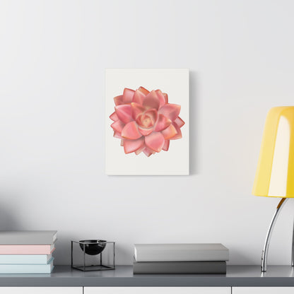 Graptosedum California Sunset Succulent Canvas Print – Botanical Wall Art
