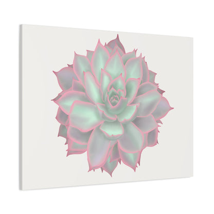 Echeveria Violet Queen Succulent Canvas Print – Botanical Wall Art