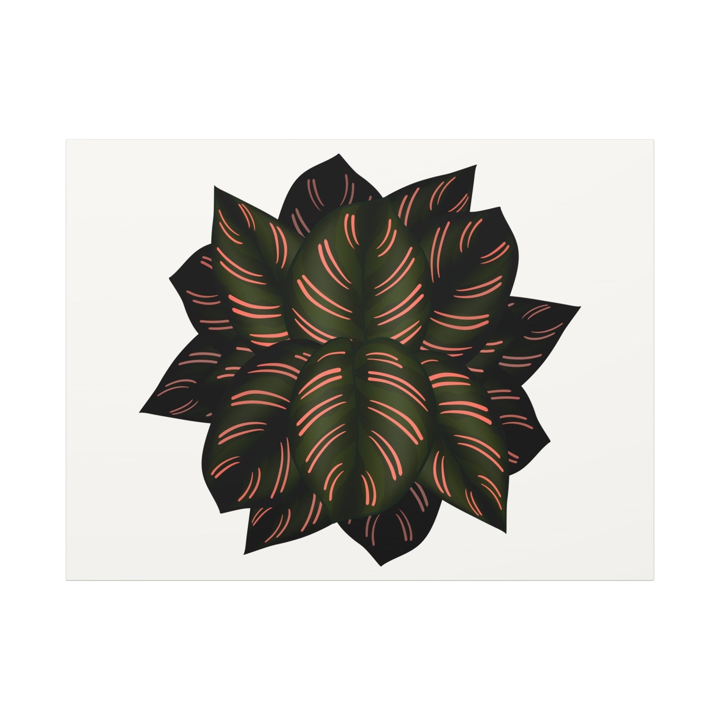 Calathea Pinstripe Canvas Print – Botanical Wall Art