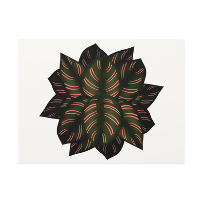 Calathea Pinstripe Canvas Print – Botanical Wall Art