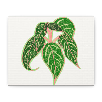 Aglaonema Sparkling Sarah Canvas Print – Botanical Wall Art