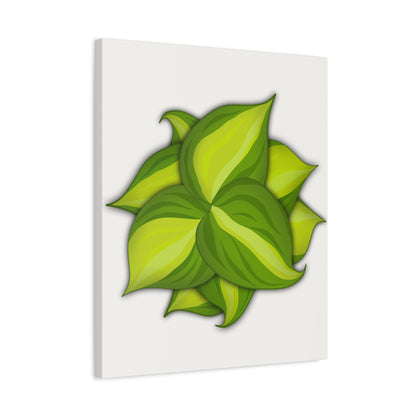 Philodendron Brasil Canvas Print – Botanical Wall Art