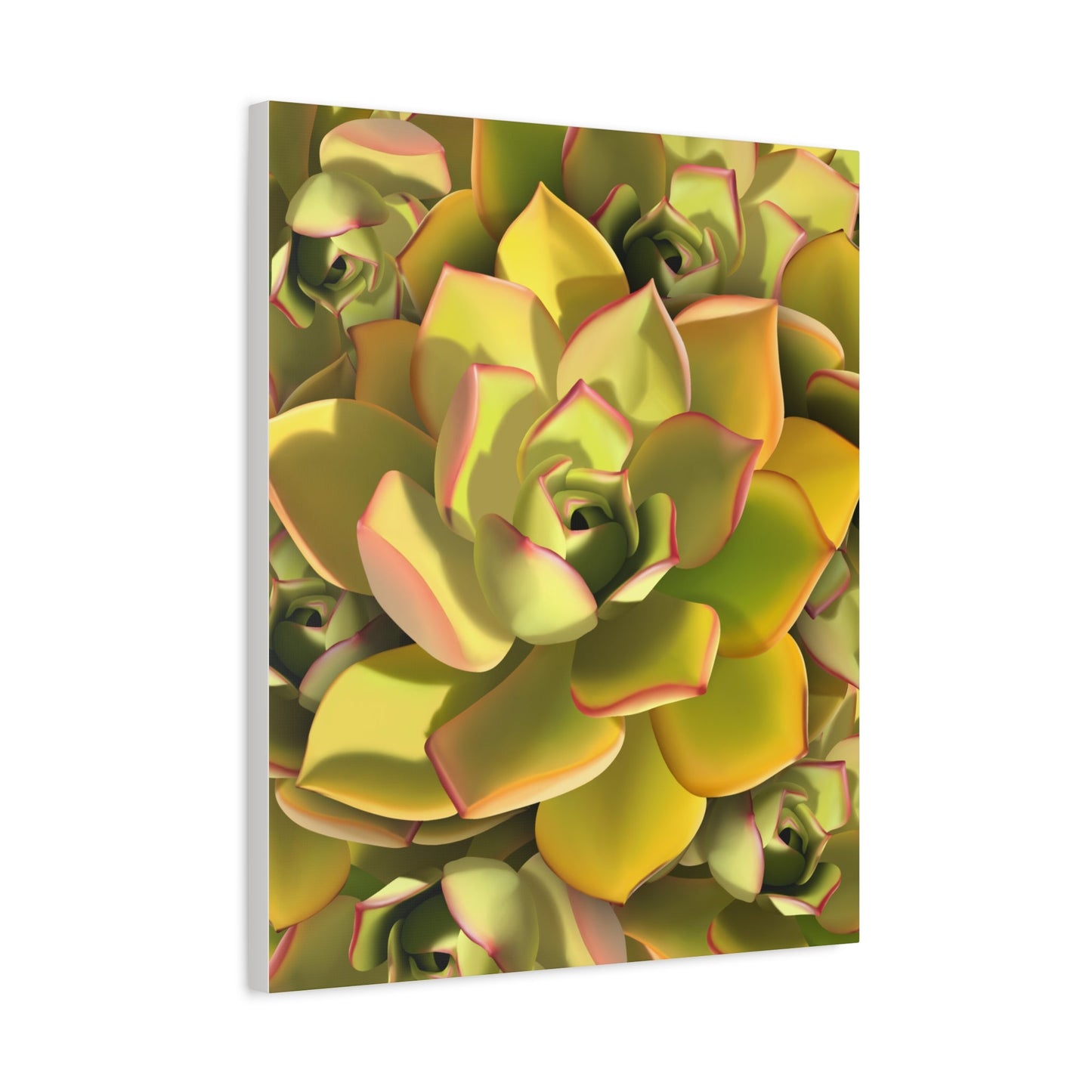 Noble Aeonium Succulent Pattern Canvas Print – Botanical Wall Art