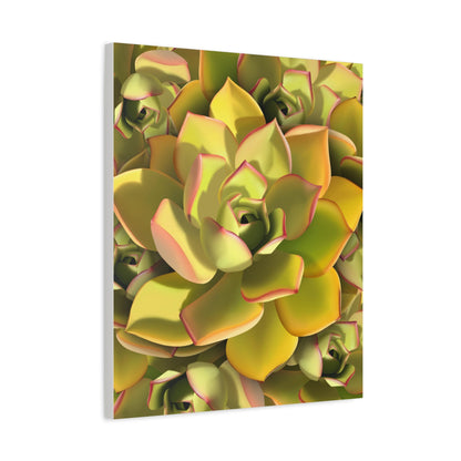Noble Aeonium Succulent Pattern Canvas Print – Botanical Wall Art