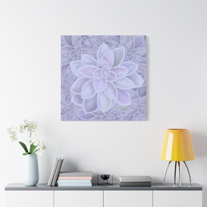 Graptopetalum Murasaki Succulent Pattern Canvas Print – Botanical Wall Art