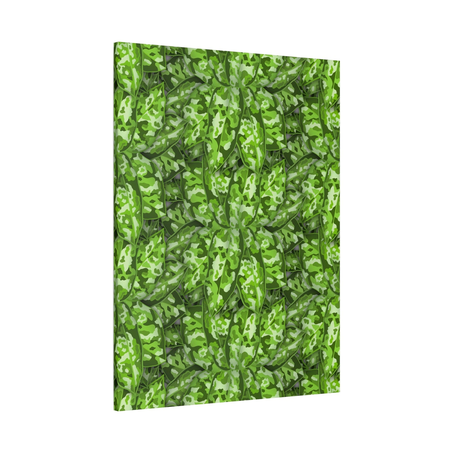 Aglaonema Pictum Canvas Print – Botanical Wall Art