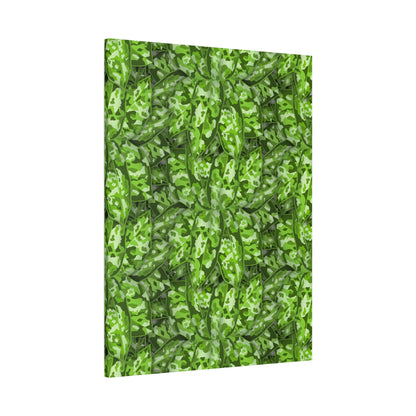 Aglaonema Pictum Canvas Print – Botanical Wall Art