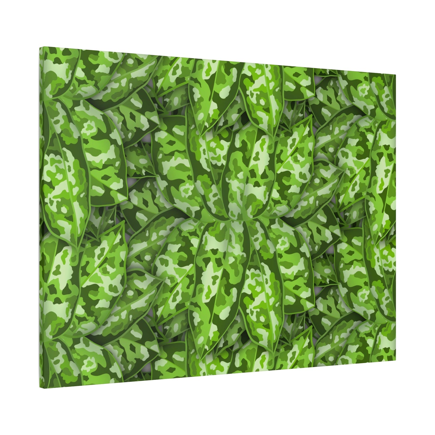 Aglaonema Pictum Canvas Print – Botanical Wall Art