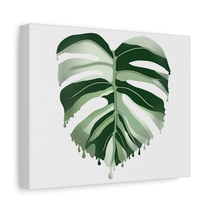 Melting Monstera Albo Canvas Print – Botanical Wall Art