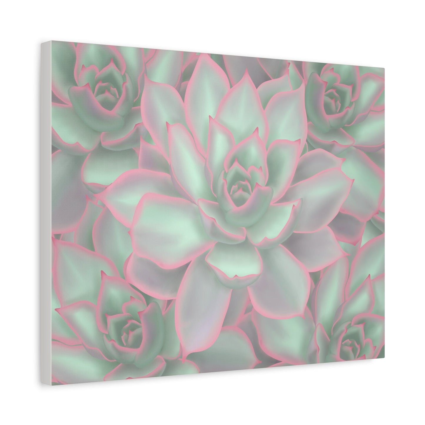Echeveria Violet Queen Succulent Pattern Canvas Print – Botanical Wall Art