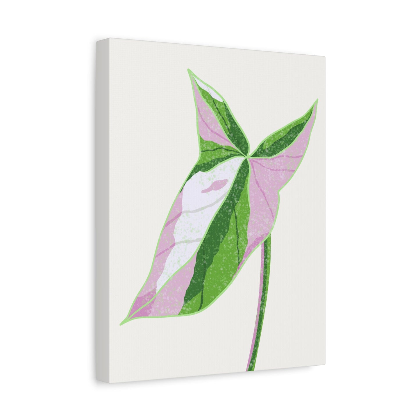 Syngonium Tricolor Canvas Print – Botanical Wall Art