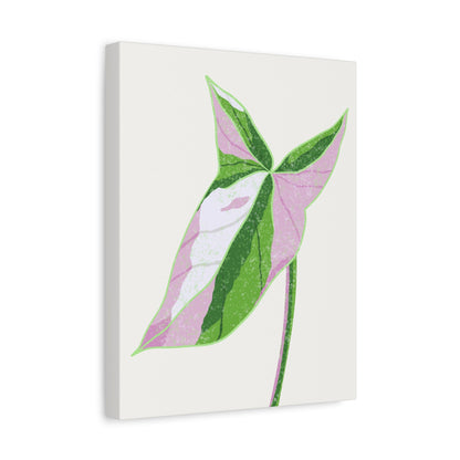 Syngonium Tricolor Canvas Print – Botanical Wall Art