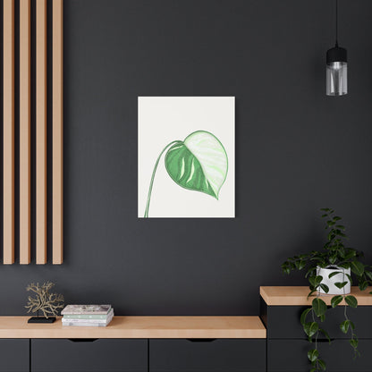 Monstera Albo Canvas Print – Botanical Wall Art