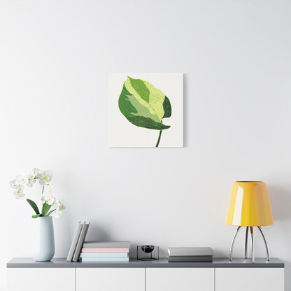 Manjula Pothos Illustrated Canvas Print – Botanical Wall Art