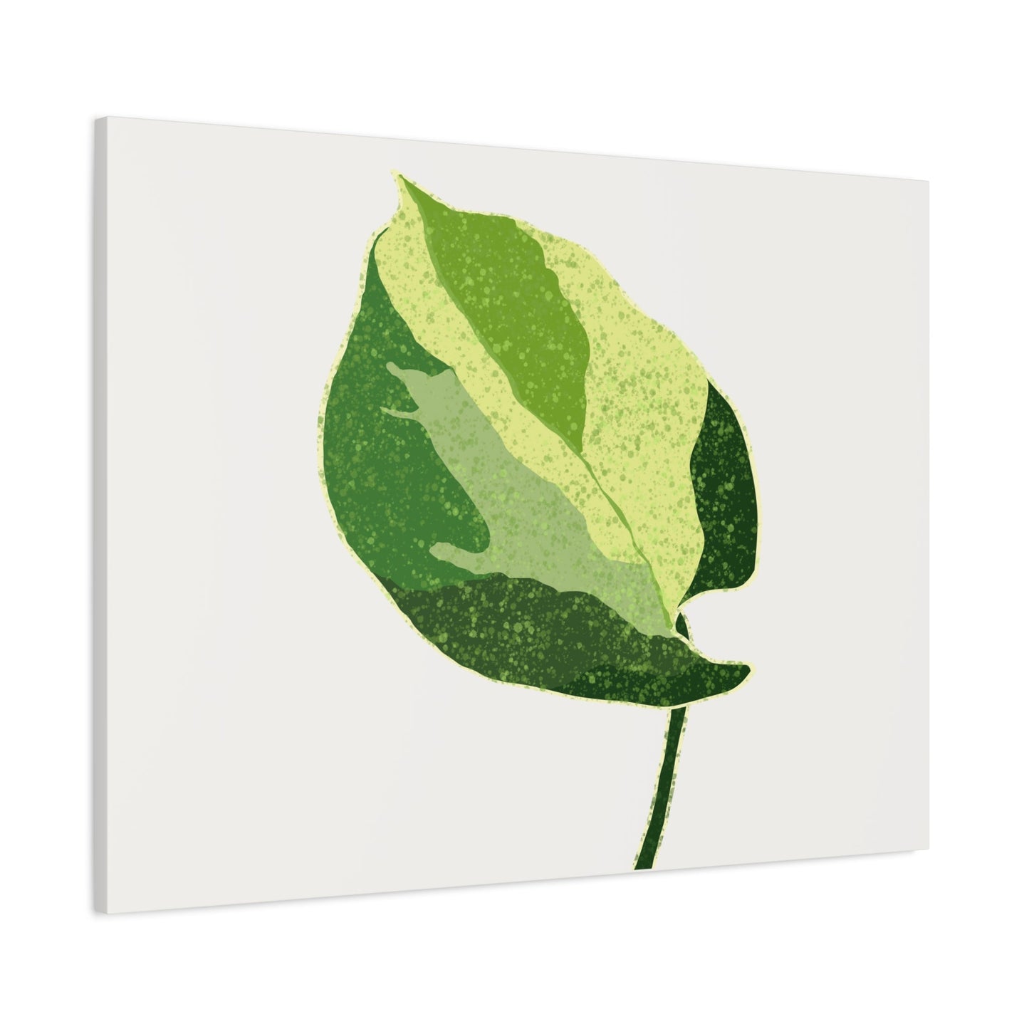 Manjula Pothos Illustrated Canvas Print – Botanical Wall Art