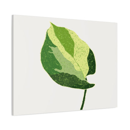 Manjula Pothos Illustrated Canvas Print – Botanical Wall Art