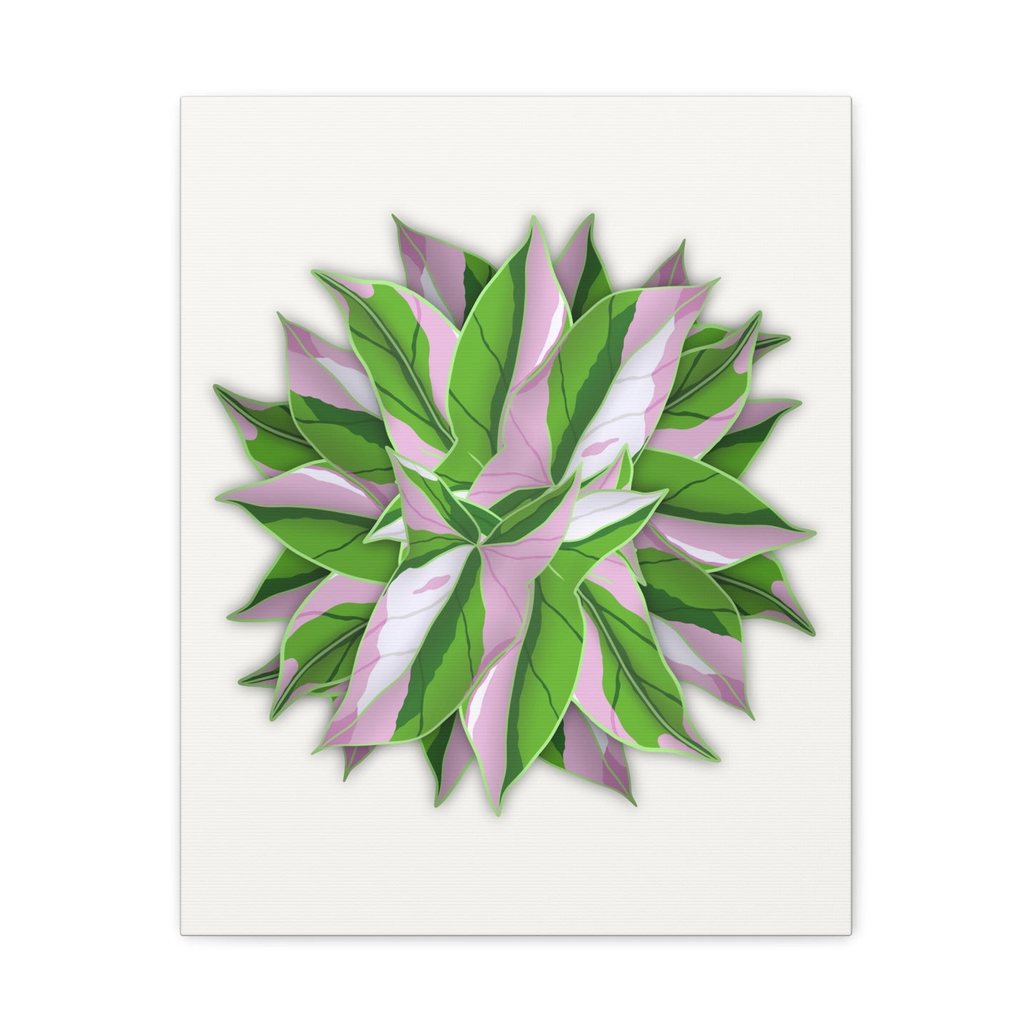 Syngonium Tricolor Pattern Canvas Print – Botanical Wall Art