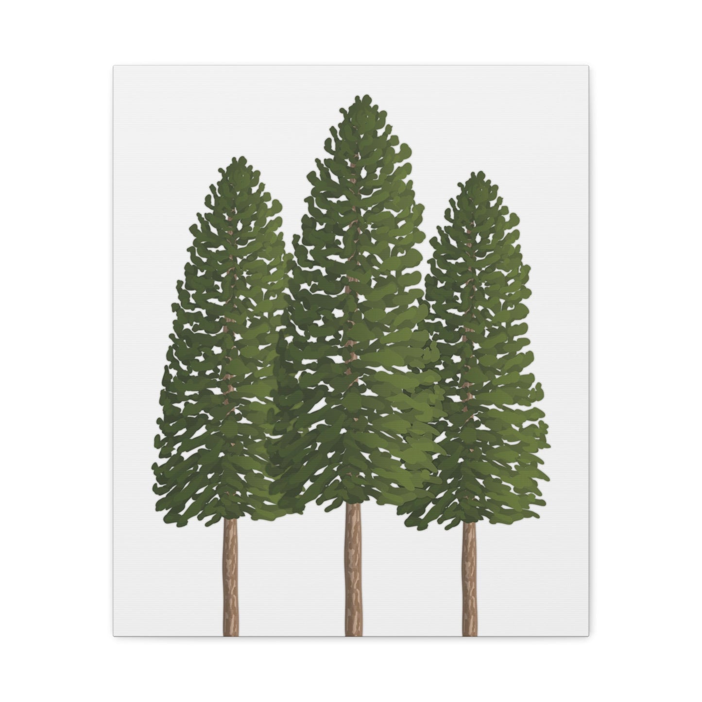 Ponderosa Pine Canvas Print – Wall Art