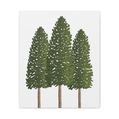 Ponderosa Pine Canvas Print – Wall Art