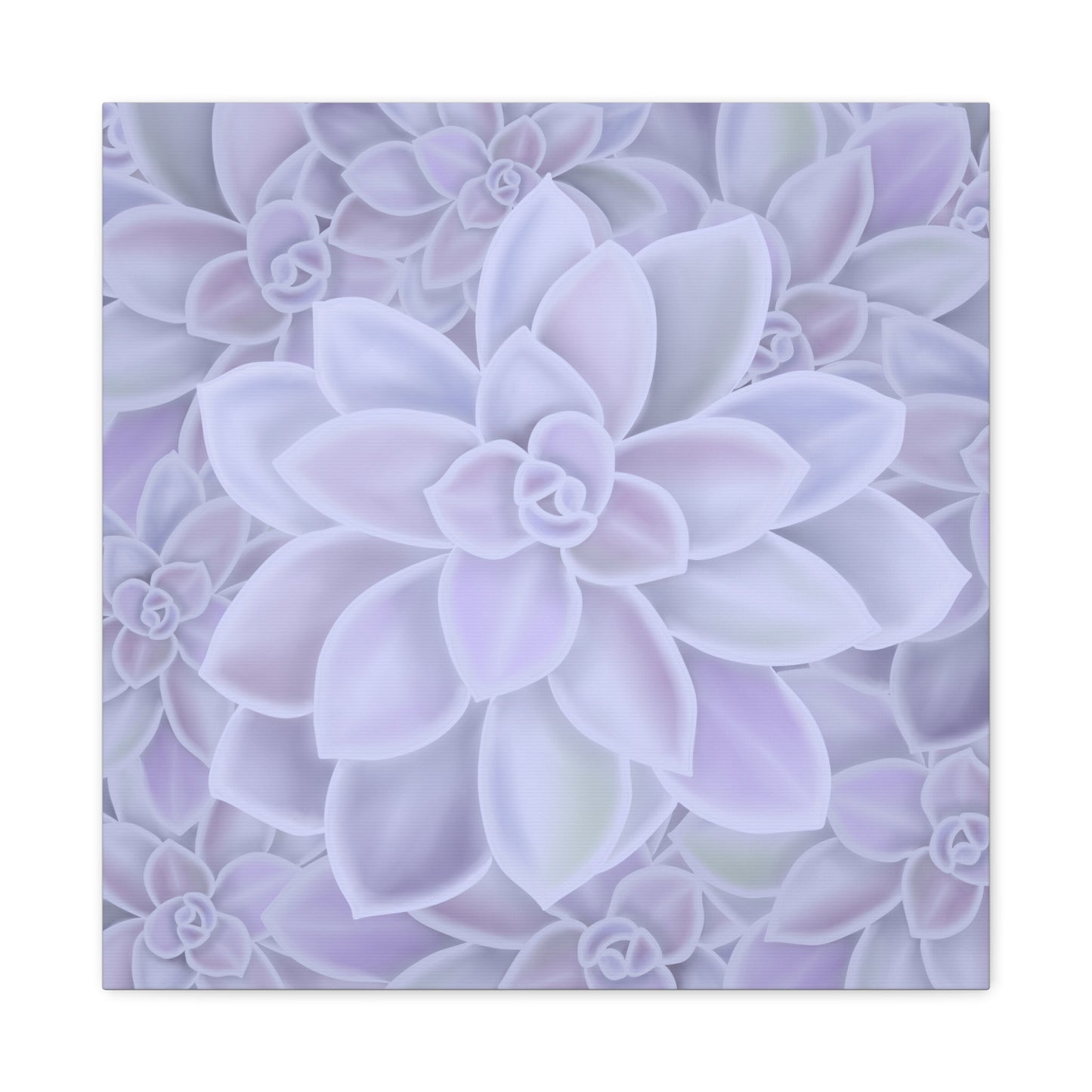 Graptopetalum Murasaki Succulent Pattern Canvas Print – Botanical Wall Art