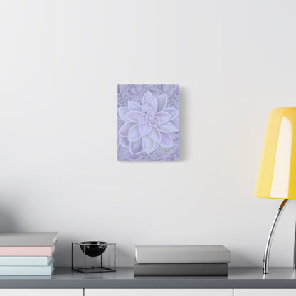 Graptopetalum Murasaki Succulent Pattern Canvas Print – Botanical Wall Art