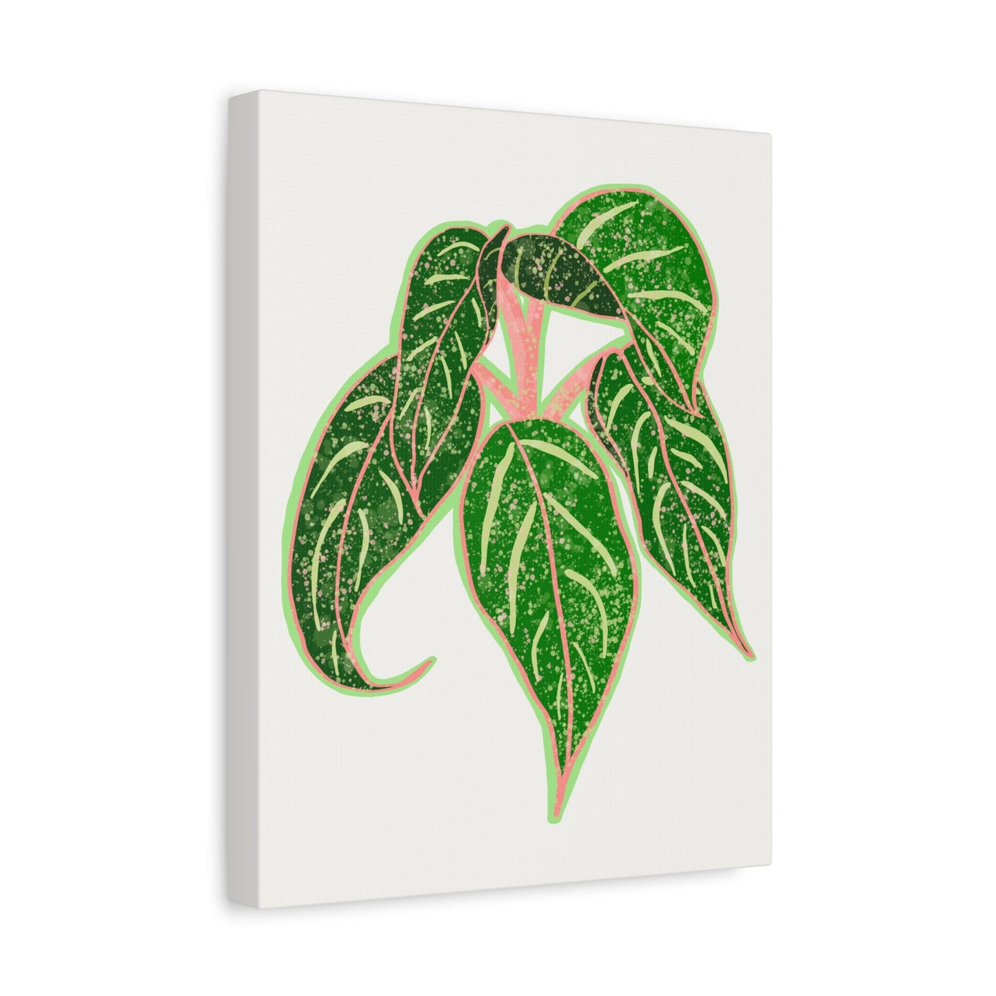 Aglaonema Sparkling Sarah Canvas Print – Botanical Wall Art