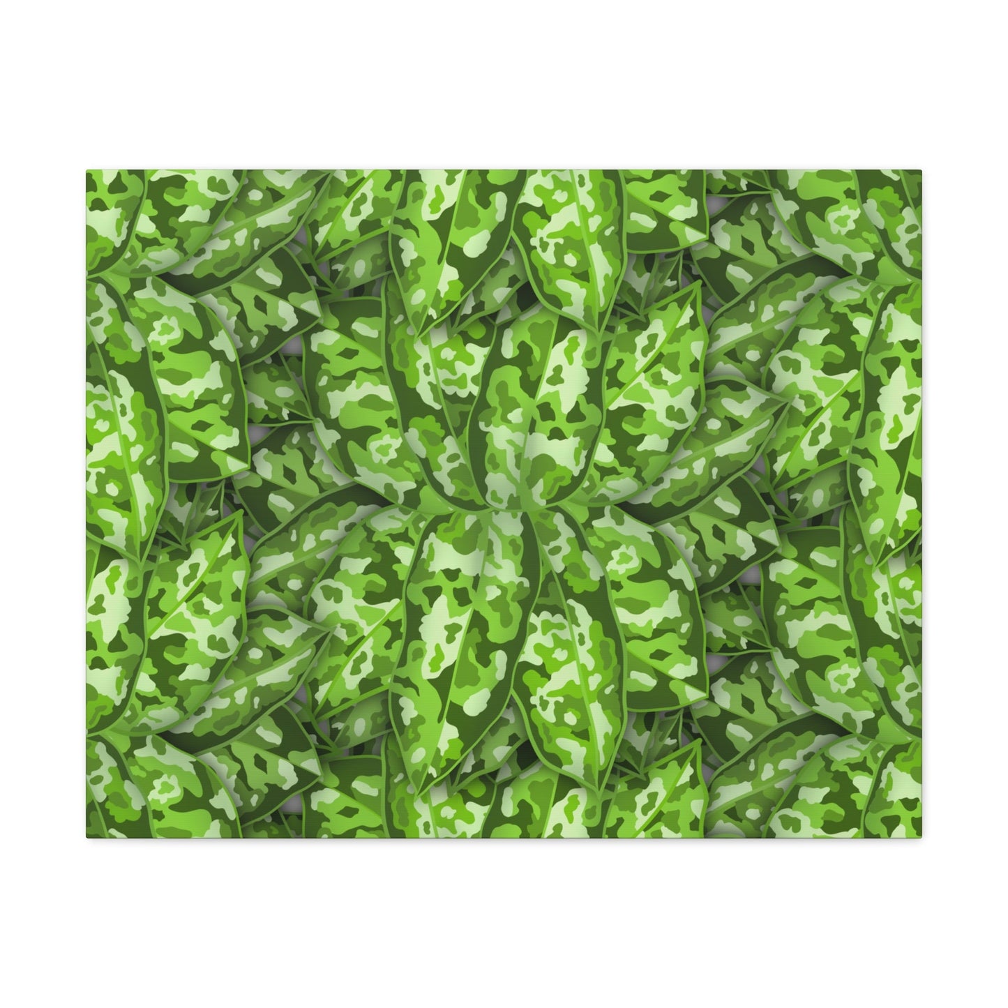 Aglaonema Pictum Canvas Print – Botanical Wall Art