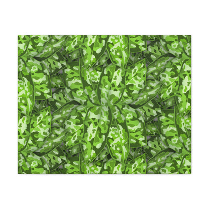 Aglaonema Pictum Canvas Print – Botanical Wall Art