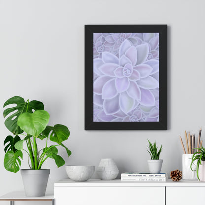 Graptopetalum Murasaki Succulent Pattern Framed Print – Botanical Wall Art