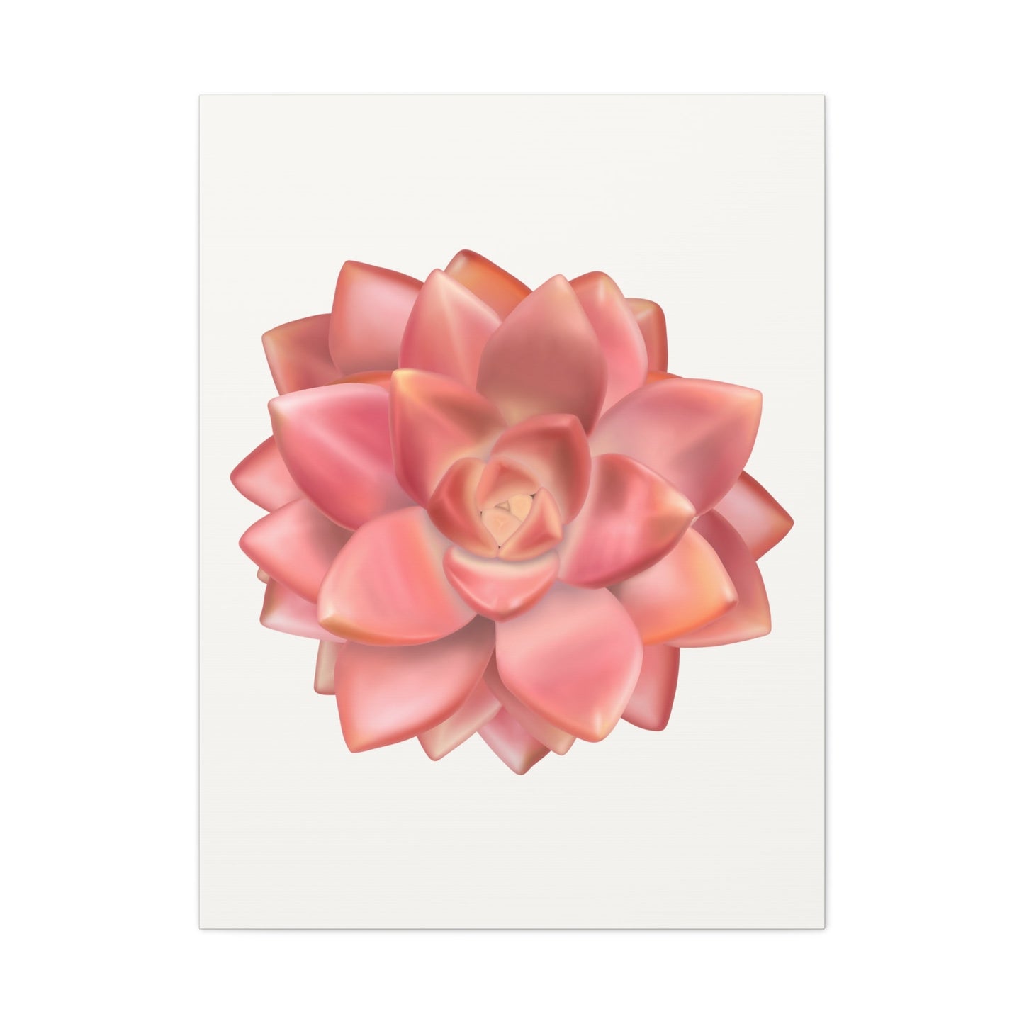 Graptosedum California Sunset Succulent Canvas Print – Botanical Wall Art