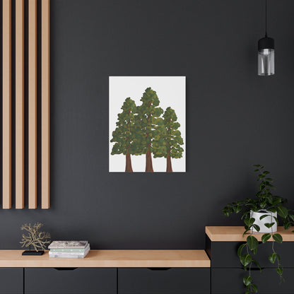 Coastal Redwood Canvas Print – Wall Art