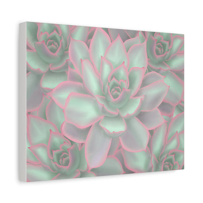 Echeveria Violet Queen Succulent Pattern Canvas Print – Botanical Wall Art