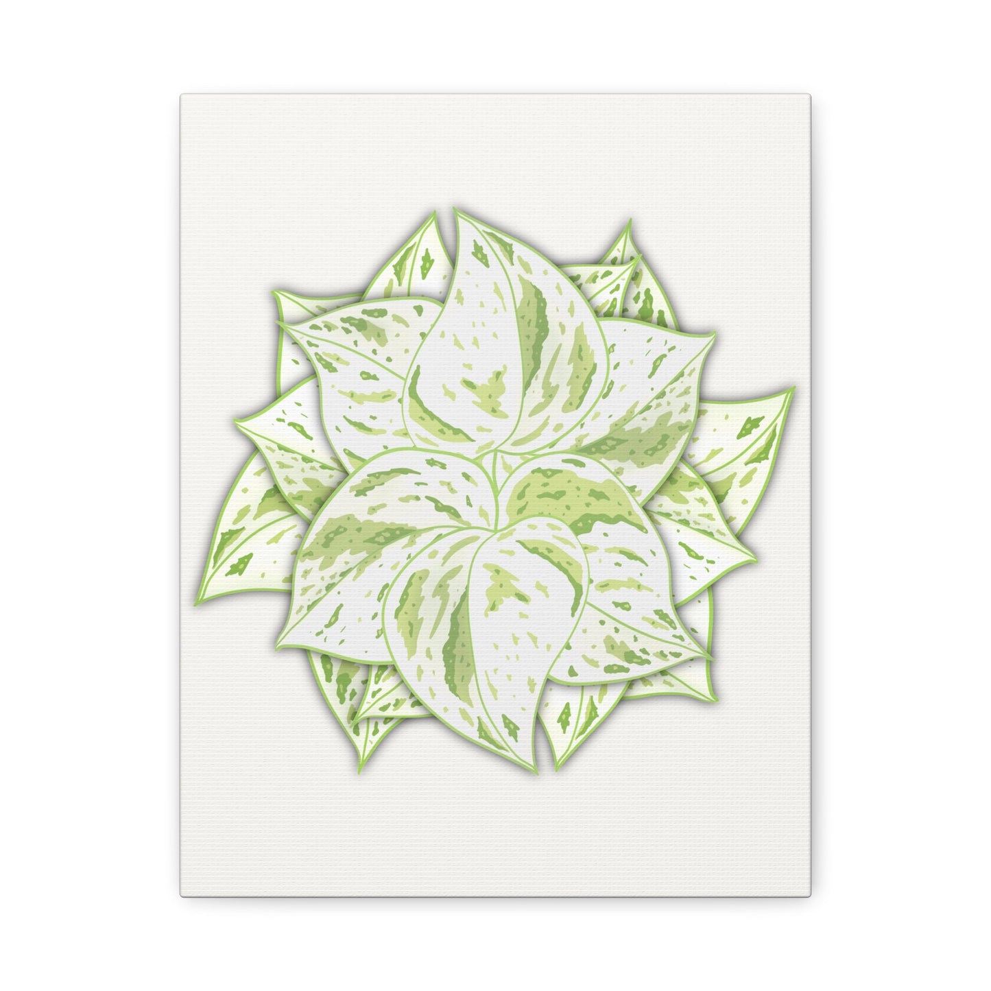 Snow Queen Pothos Canvas Print – Botanical Wall Art
